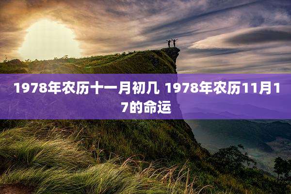 1978年农历十一月初几 1978年农历11月17的命运
