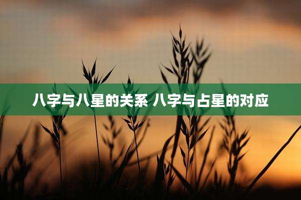 八字与八星的关系 八字与占星的对应