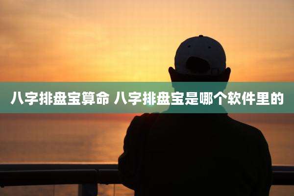 八字排盘宝算命 八字排盘宝是哪个软件里的