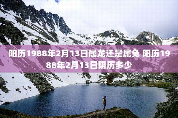 阳历1988年2月13日属龙还是属兔 阳历1988年2月13日阴历多少