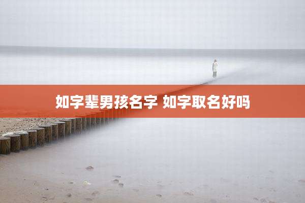 如字辈男孩名字 如字取名好吗