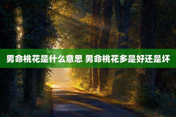 男命桃花是什么意思 男命桃花多是好还是坏