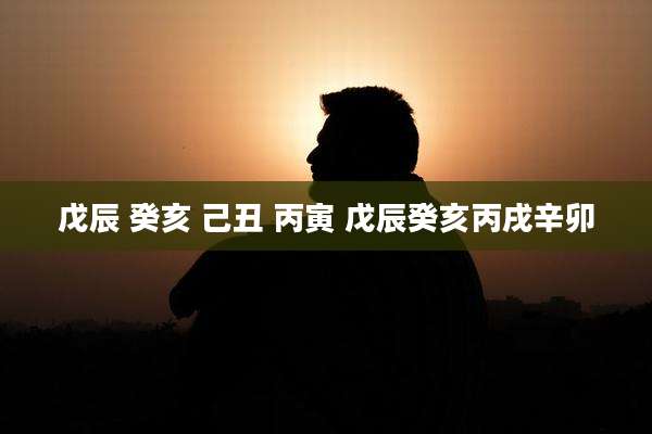 戊辰 癸亥 己丑 丙寅 戊辰癸亥丙戌辛卯