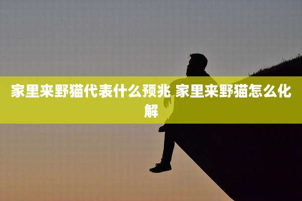 家里来野猫代表什么预兆 家里来野猫怎么化解