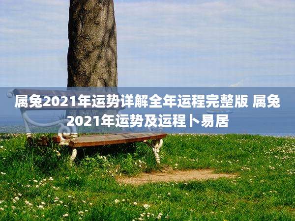属兔2021年运势详解全年运程完整版 属兔2021年运势及运程卜易居