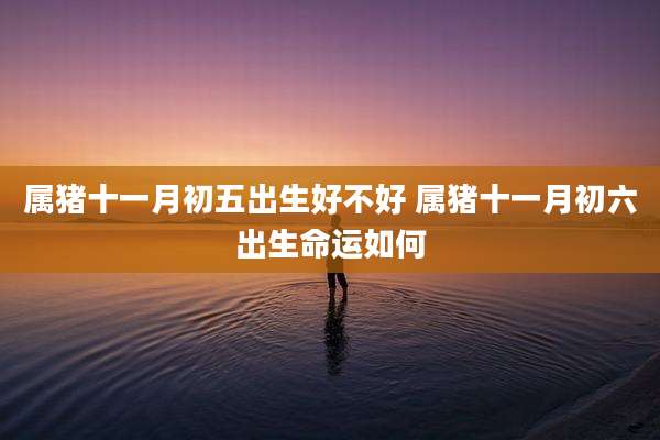 属猪十一月初五出生好不好 属猪十一月初六出生命运如何