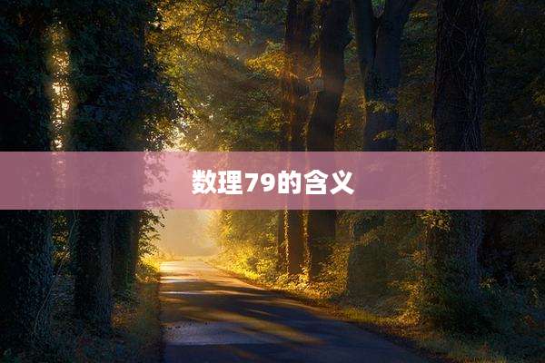 数理79的含义