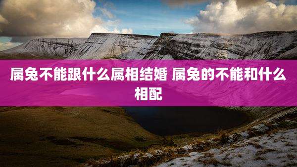 属兔不能跟什么属相结婚 属兔的不能和什么相配