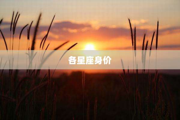 各星座身价