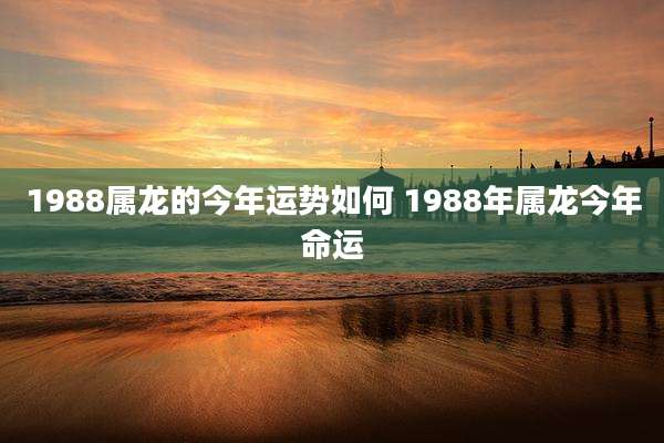 1988属龙的今年运势如何 1988年属龙今年命运