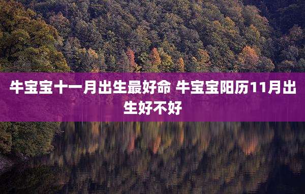 牛宝宝十一月出生最好命 牛宝宝阳历11月出生好不好