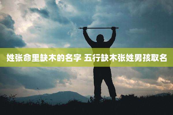 姓张命里缺木的名字 五行缺木张姓男孩取名