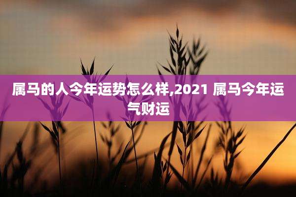 属马的人今年运势怎么样,2021 属马今年运气财运