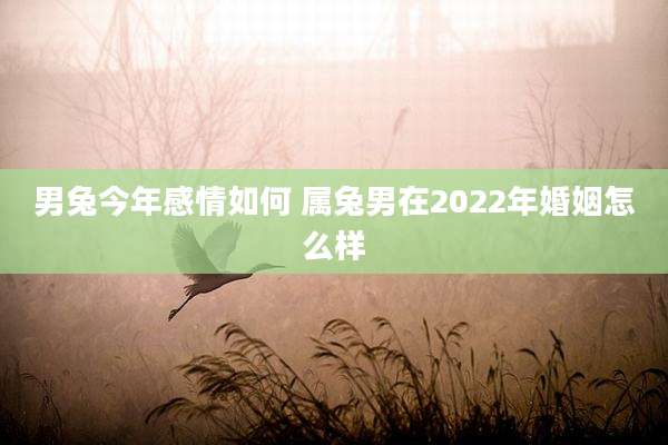 男兔今年感情如何 属兔男在2022年婚姻怎么样