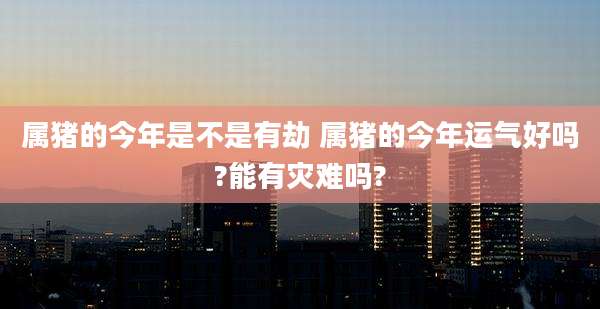 属猪的今年是不是有劫 属猪的今年运气好吗?能有灾难吗?
