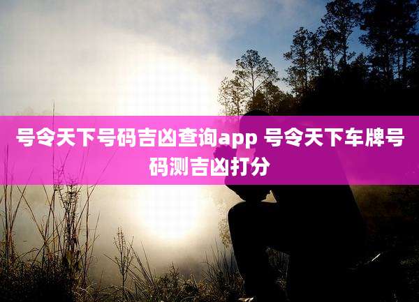 号令天下号码吉凶查询app 号令天下车牌号码测吉凶打分