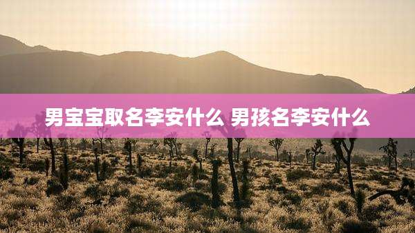 男宝宝取名李安什么 男孩名李安什么