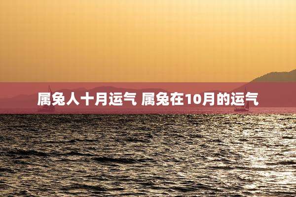 属兔人十月运气 属兔在10月的运气