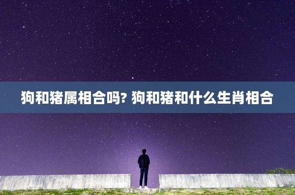 狗和猪属相合吗? 狗和猪和什么生肖相合