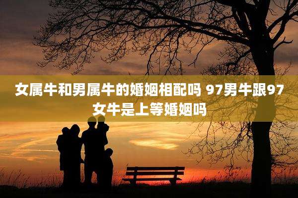 女属牛和男属牛的婚姻相配吗 97男牛跟97女牛是上等婚姻吗