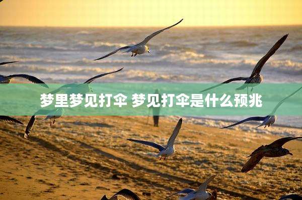 梦里梦见打伞 梦见打伞是什么预兆