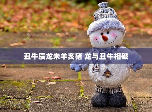 丑牛辰龙未羊亥猪 龙与丑牛相破