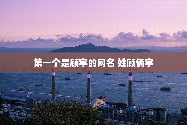 第一个是顾字的网名 姓顾俩字