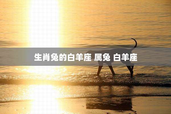 生肖兔的白羊座 属兔 白羊座