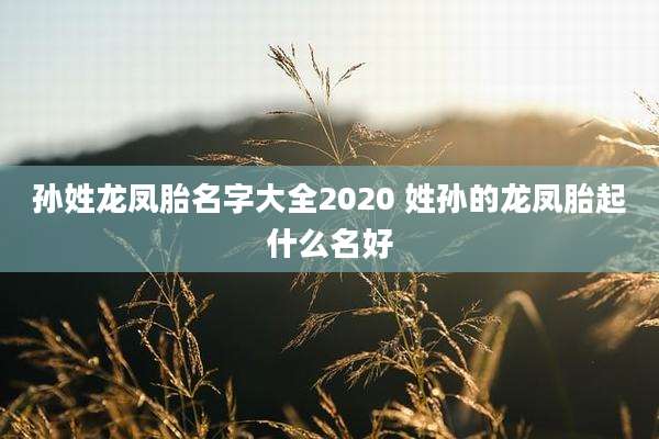 孙姓龙凤胎名字大全2020 姓孙的龙凤胎起什么名好