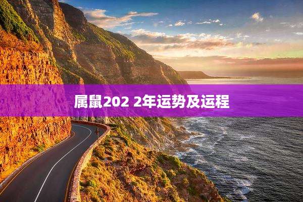 属鼠202 2年运势及运程