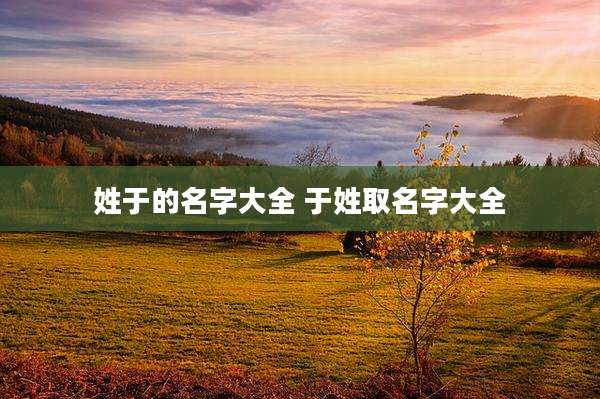姓于的名字大全 于姓取名字大全