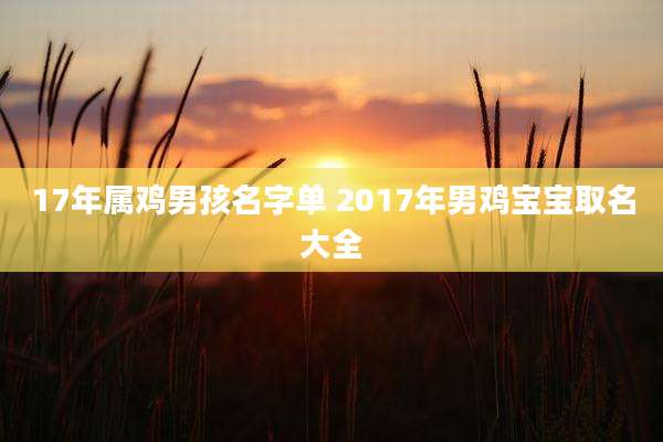 17年属鸡男孩名字单 2017年男鸡宝宝取名大全