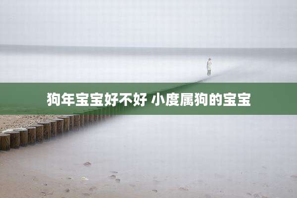 狗年宝宝好不好 小度属狗的宝宝