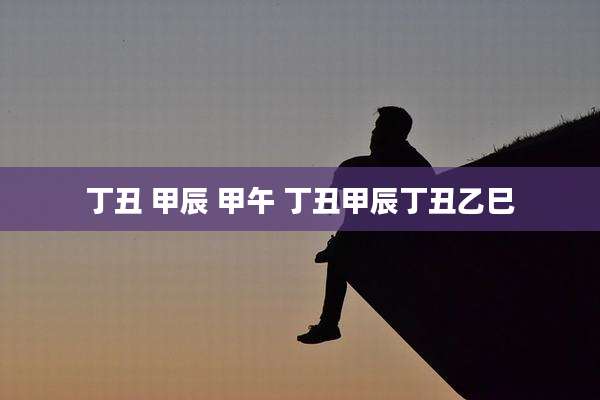 丁丑 甲辰 甲午 丁丑甲辰丁丑乙巳