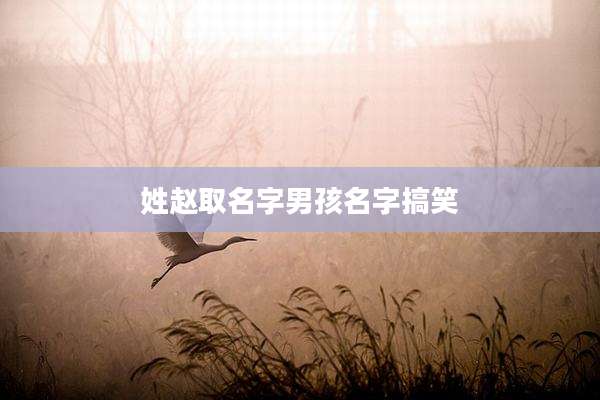 姓赵取名字男孩名字搞笑