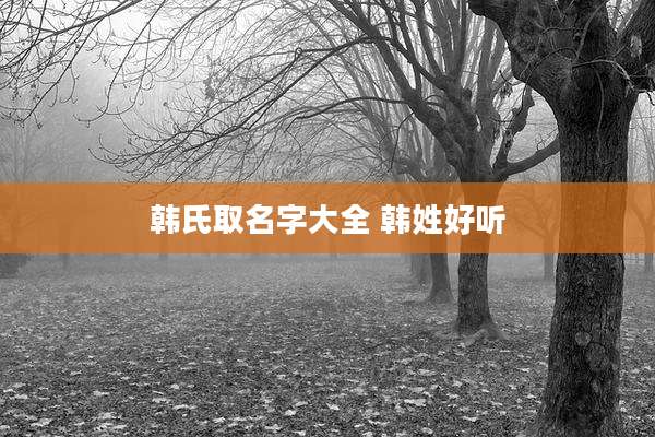 韩氏取名字大全 韩姓好听