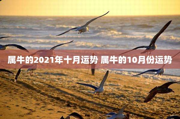 属牛的2021年十月运势 属牛的10月份运势