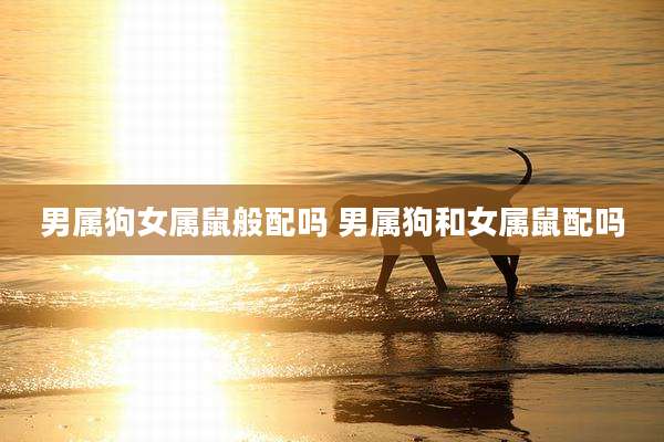 男属狗女属鼠般配吗 男属狗和女属鼠配吗