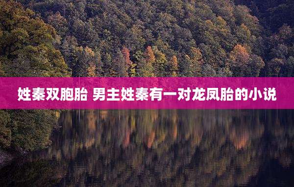 姓秦双胞胎 男主姓秦有一对龙凤胎的小说