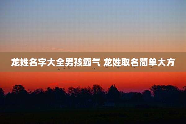 龙姓名字大全男孩霸气 龙姓取名简单大方