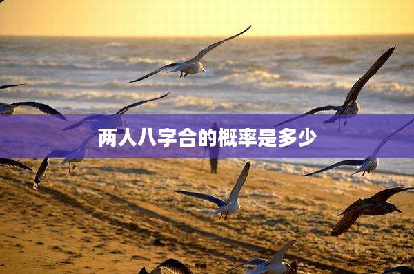 两人八字合的概率是多少