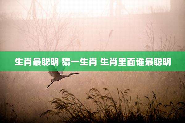 生肖最聪明 猜一生肖 生肖里面谁最聪明
