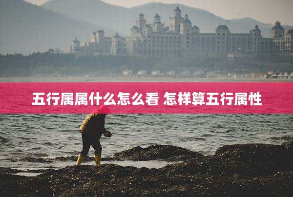 五行属属什么怎么看 怎样算五行属性