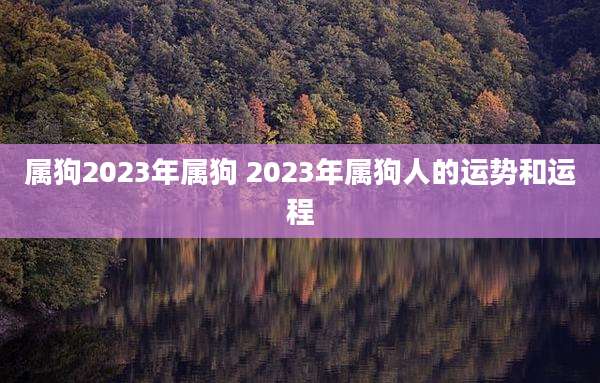 属狗2023年属狗 2023年属狗人的运势和运程