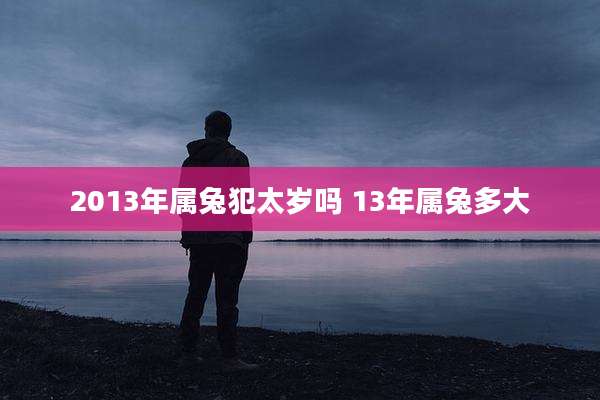 2013年属兔犯太岁吗 13年属兔多大