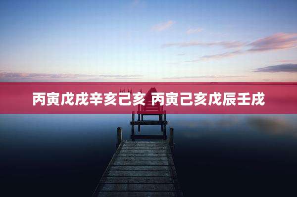 丙寅戊戌辛亥己亥 丙寅己亥戊辰壬戌