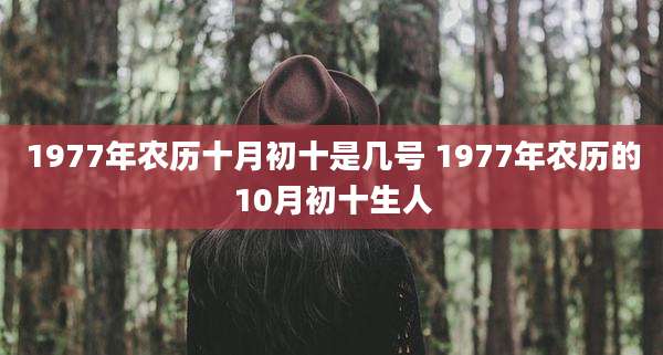 1977年农历十月初十是几号 1977年农历的10月初十生人
