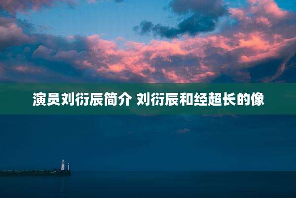 演员刘衍辰简介 刘衍辰和经超长的像