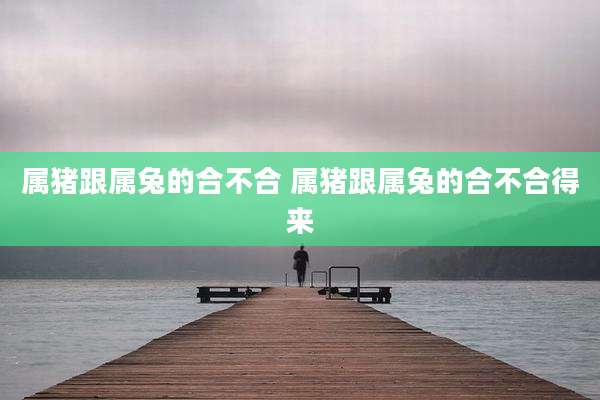 属猪跟属兔的合不合 属猪跟属兔的合不合得来