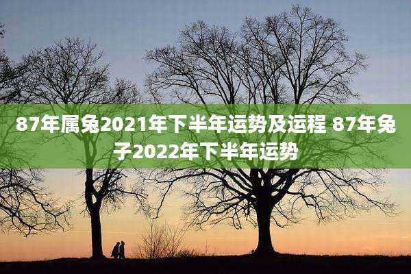 87年属兔2021年下半年运势及运程 87年兔子2022年下半年运势